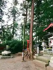 日高神社の自然