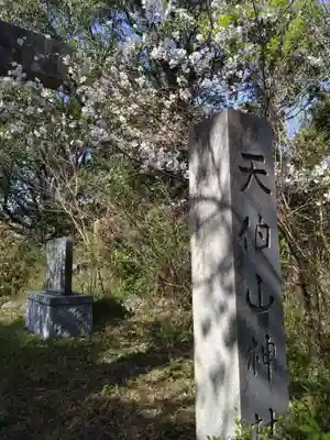 天伯山神社(愛知県)