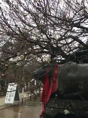 北野天満宮の狛犬