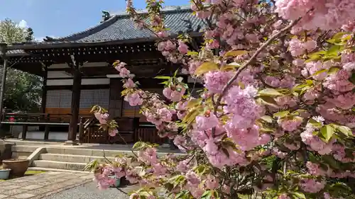 本満寺（本願満足寺）(京都府)