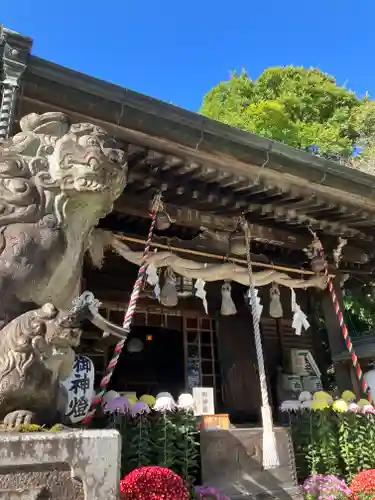 曾屋神社(神奈川県)