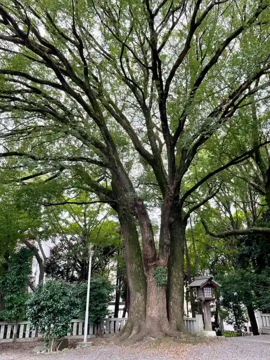 洲崎大神(神奈川県)