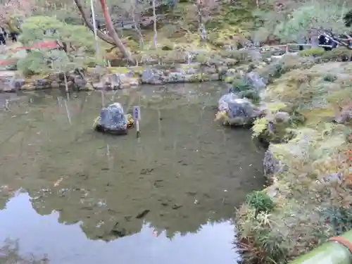 慈照寺（慈照禅寺・銀閣寺）の庭園