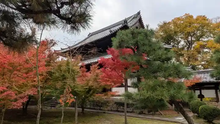 興聖寺(京都府)