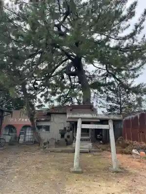 第六天神社の{uncategorized: "未分類", other: "その他", undefined: "問題あり", building: "その他建物", grave: "お墓", sacred_gate: "鳥居", guardian: "狛犬", statue: "像", buddha: "仏像", history: "歴史", nature: "自然", garden: "庭園", animal: "動物", pagoda: "塔", temizu: "手水舎", mountain_gate: "山門・神門", sanctuary: "本殿・本堂", subordinate: "末社・摂社", art: "芸術", scenery: "景色", jizo: "地蔵", ema: "絵馬", goshuin: "御朱印", omikuji: "おみくじ", items: "授与品その他", amulet: "お守り", goshuincho: "御朱印帳", eats: "食事", festival: "お祭り", votive_dance: "神楽", shichigosan: "七五三参", wedding: "結婚式", experience: "体験その他", initially: "初詣", around: "周辺", anti_infection: "感染症対策"}