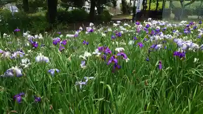 應仁寺(愛知県)