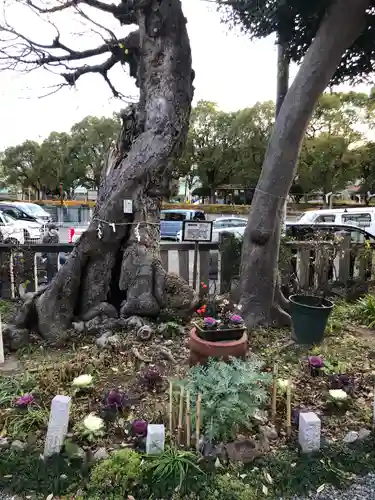水堂須佐男神社の自然