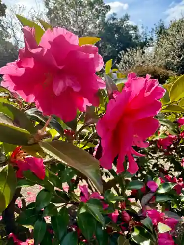 意賀美神社(大阪府)
