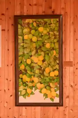 西部八幡神社(愛媛県)