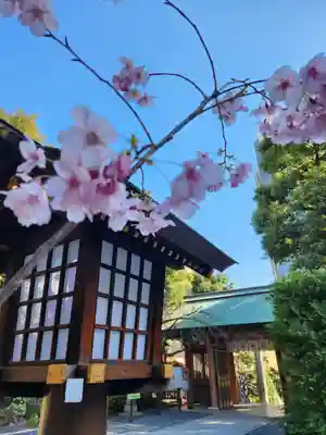 東京大神宮(東京都)