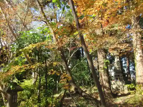 浄瑠璃寺(愛媛県)