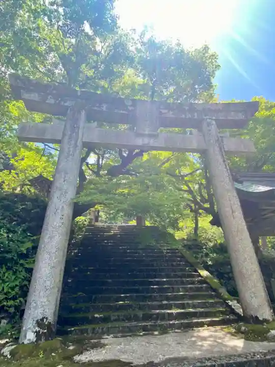 養父神社(兵庫県)