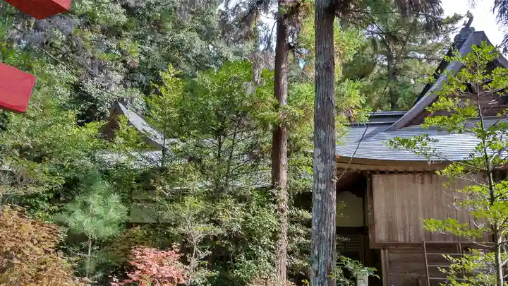 小鹿神社(埼玉県)