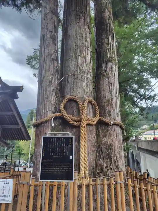奥氷川神社(東京都)