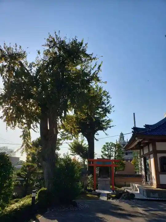 東円寺(東京都)