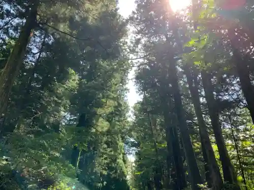 日光東照宮の自然