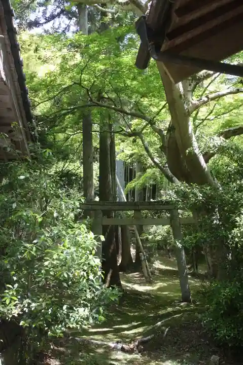 園養寺(滋賀県)