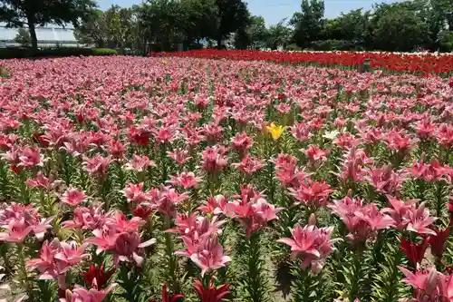 五智如来堂(福井県)