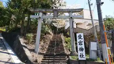 愛宕神社の鳥居