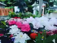 立志神社の手水舎