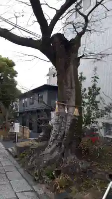 安井金比羅宮(京都府)