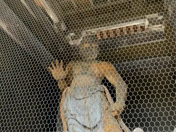 渡岸寺観音堂(向源寺)(滋賀県)