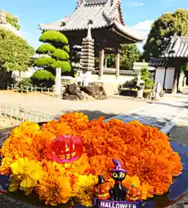 真言宗 善通寺派 薬王寺(香川県)(2022年10月29日(土) 20時32分55秒投稿)