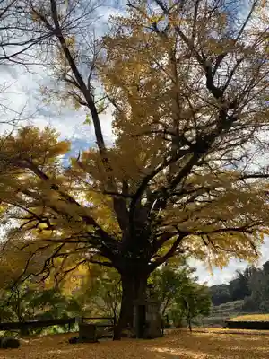 観音堂(千葉県)