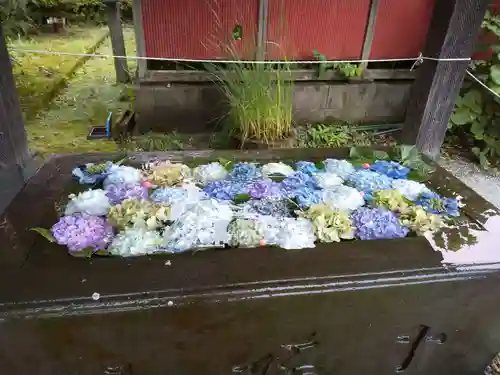 前玉神社の手水