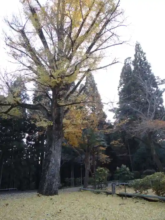 正眼寺(岐阜県)