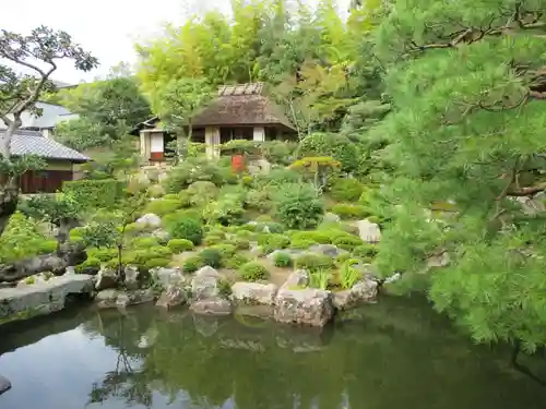 等持院の庭園