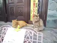 居木神社の動物