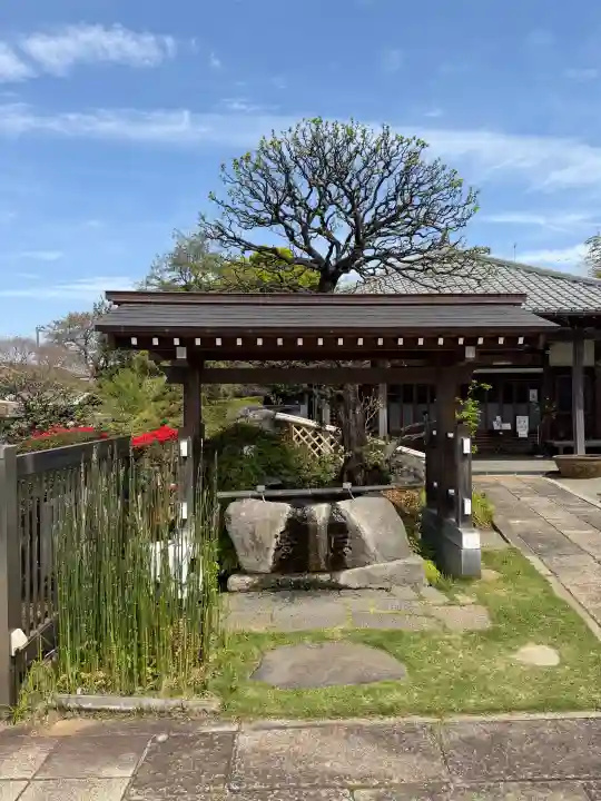妙蓮寺の{uncategorized: "未分類", other: "その他", undefined: "問題あり", building: "その他建物", grave: "お墓", sacred_gate: "鳥居", guardian: "狛犬", statue: "像", buddha: "仏像", history: "歴史", nature: "自然", garden: "庭園", animal: "動物", pagoda: "塔", temizu: "手水舎", mountain_gate: "山門・神門", sanctuary: "本殿・本堂", subordinate: "末社・摂社", art: "芸術", scenery: "景色", jizo: "地蔵", ema: "絵馬", goshuin: "御朱印", omikuji: "おみくじ", items: "授与品その他", amulet: "お守り", goshuincho: "御朱印帳", eats: "食事", festival: "お祭り", votive_dance: "神楽", shichigosan: "七五三参", wedding: "結婚式", experience: "体験その他", initially: "初詣", around: "周辺", anti_infection: "感染症対策"}