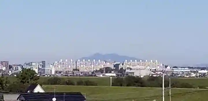 樋野口稲荷神社(埼玉県)