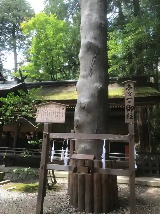 諏訪大社下社春宮(長野県)