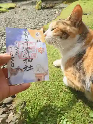 吾平津神社の御朱印