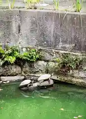 磐井神社(東京都)