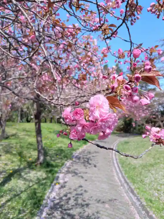 平岸天満宮・太平山三吉神社(北海道)
