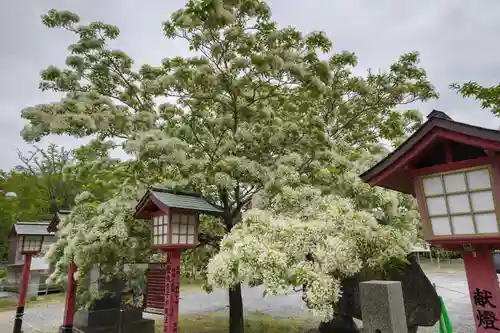 神武天皇社の建物その他