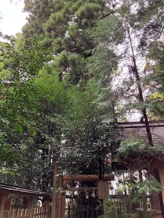 幣立神宮(熊本県)