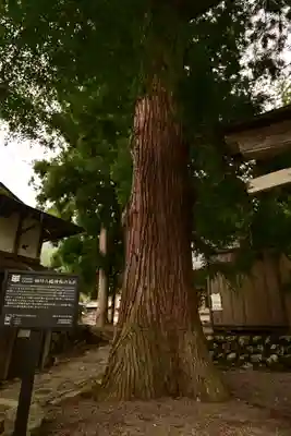 白川八幡神社(岐阜県)