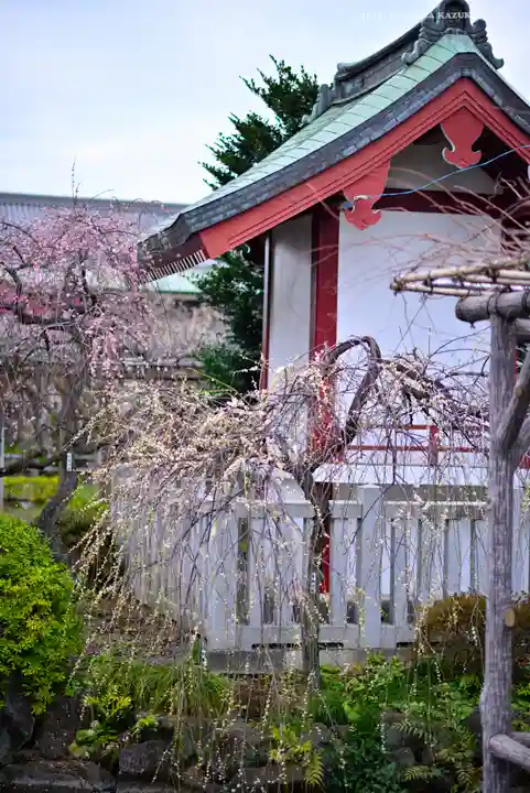 亀戸天神社(東京都)