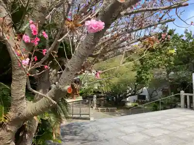 淡嶋神社(和歌山県)