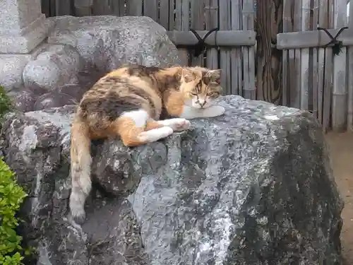 大久保山 自性院(神奈川県)