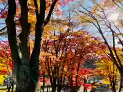 土津神社｜こどもと出世の神さまの景色