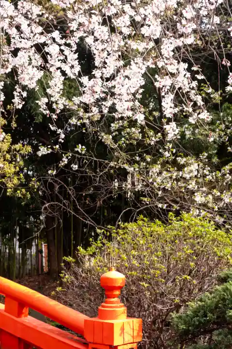 富知六所浅間神社(静岡県)