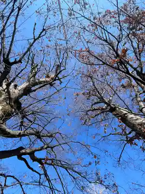 前川神社(埼玉県)