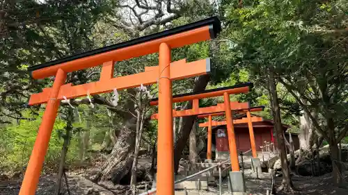正一位石倉稲荷神社の{uncategorized: "未分類", other: "その他", undefined: "問題あり", building: "その他建物", grave: "お墓", sacred_gate: "鳥居", guardian: "狛犬", statue: "像", buddha: "仏像", history: "歴史", nature: "自然", garden: "庭園", animal: "動物", pagoda: "塔", temizu: "手水舎", mountain_gate: "山門・神門", sanctuary: "本殿・本堂", subordinate: "末社・摂社", art: "芸術", scenery: "景色", jizo: "地蔵", ema: "絵馬", goshuin: "御朱印", omikuji: "おみくじ", items: "授与品その他", amulet: "お守り", goshuincho: "御朱印帳", eats: "食事", festival: "お祭り", votive_dance: "神楽", shichigosan: "七五三参", wedding: "結婚式", experience: "体験その他", initially: "初詣", around: "周辺", anti_infection: "感染症対策"}