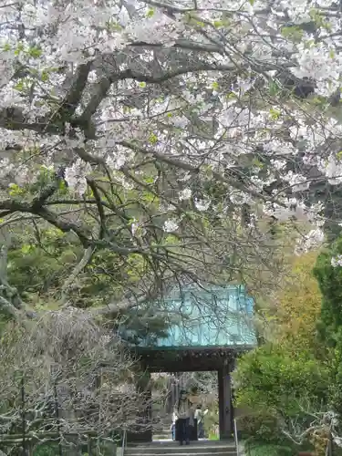 光則寺の山門