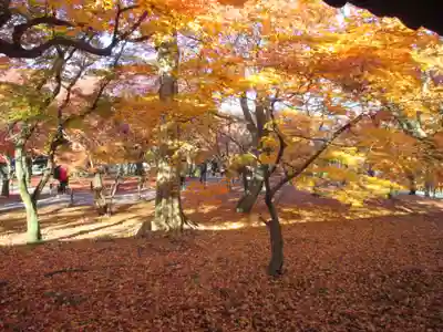 東福禅寺（東福寺）(京都府)